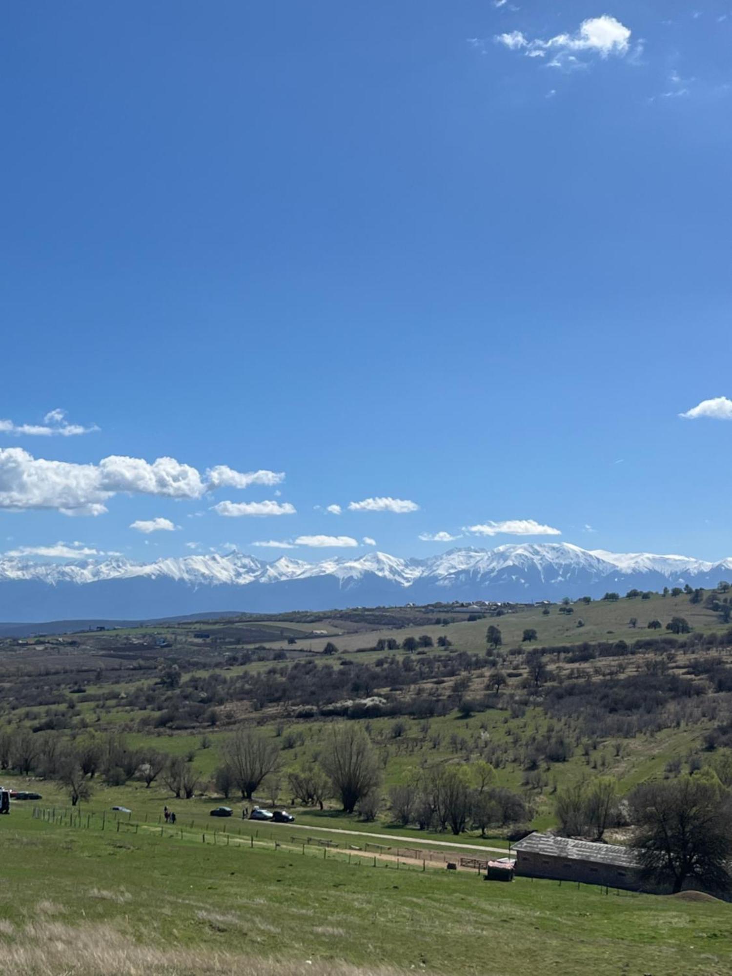 Casa Conti Otel Sibiu Dış mekan fotoğraf