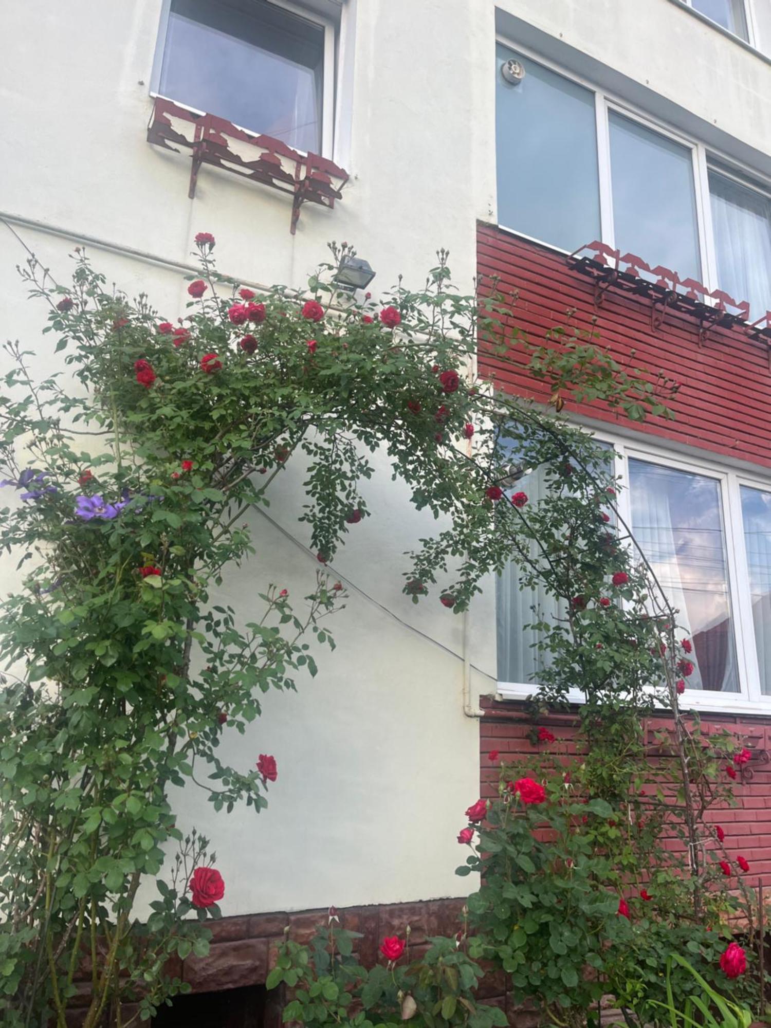 Casa Conti Otel Sibiu Dış mekan fotoğraf