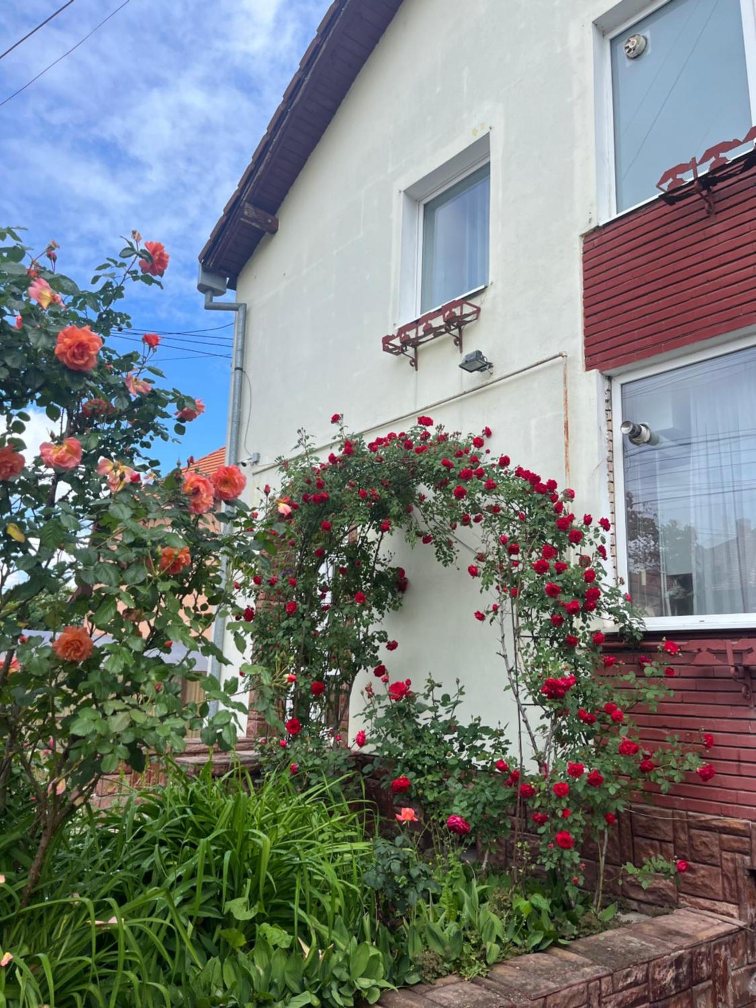 Casa Conti Otel Sibiu Dış mekan fotoğraf